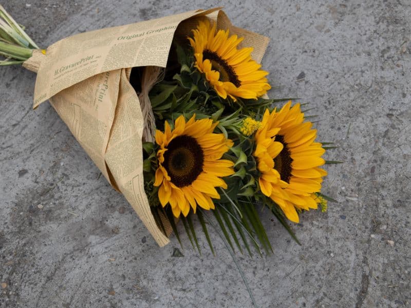 Girassóis para flores para Dia dos Namorados em buquê com relação leve e cheia de afeto