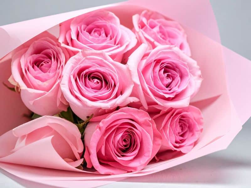 Rosas cor-de-rosa para Dia dos Namorados em buquê delicado que transmite carinho e admiração