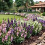 Angelônia em canteiro florido com flores rosas, lilases, roxas e brancas em jardim residencial