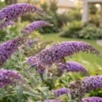 Buddleia com espigas florais lilás em primeiro plano e borboleta pousada em uma das flores
