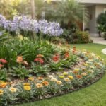 Flores perenes para canteiros com agapantos, gérberas e gazânias em jardim residencial