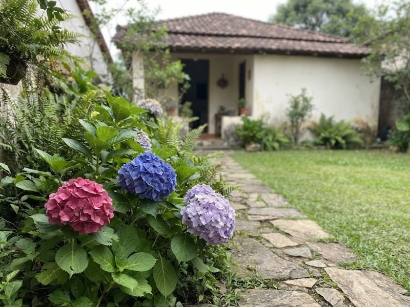 Hortênsias rosas, azuis e lilases floridas ao lado de caminho de pedras.