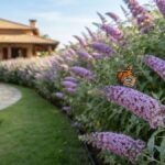 Arbustos que atraem beija-flores e borboletas, com buddleia lilás florida e uma borboleta pousada no jardim.
