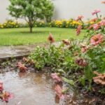 Chuvas fortes no jardim com canteiro alagado e zínias tombadas junto ao caminho de pedras.