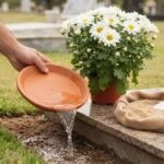 Como evitar o mosquito da dengue: retirada da água de um pratinho, com areia e flores ao lado, no cemitério.
