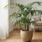 Palmeira kentia em vaso de cerâmica bege sobre piso de madeira, com folhas verdes longas e arqueadas em sala iluminada.
