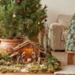 Plantas de Natal na sala com pinheiro natural, presépio sobre musgo, árvore de suculentas e poinsettia vermelha.