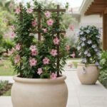 Trepadeiras para vasos floridas conduzidas em treliças no jardim